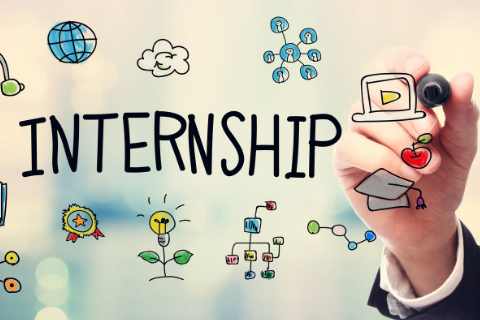 New Job and Internship Opportunities Announced Across India